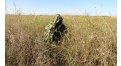Маскировочный халат Taganrog Кикимора – купить по цене 3550 руб. в интернет-магазине в городе Оренбург картинка 13